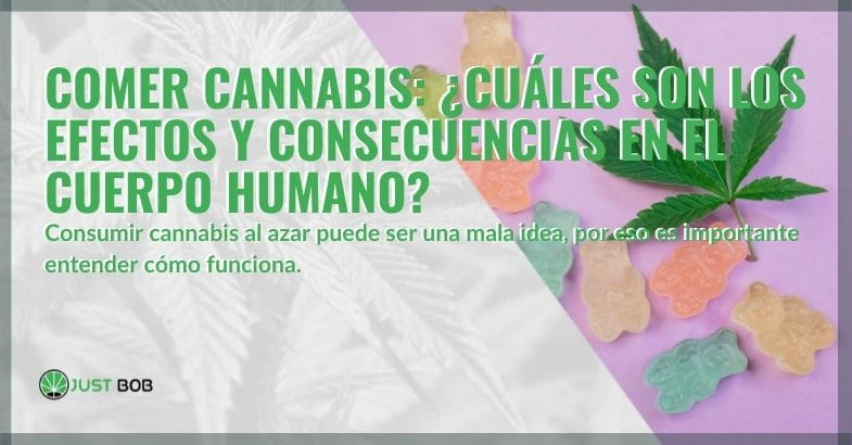 Comer cannabis: consecuencias y efectos