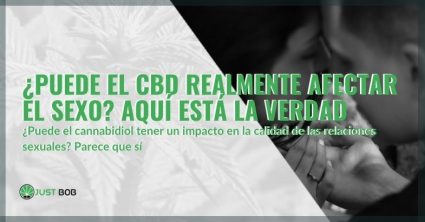 ¿Puede el cbd afectar al sexo?