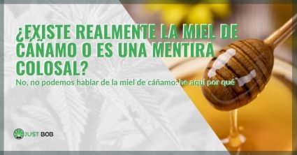 ¿Existe realmente la miel de cáñamo?