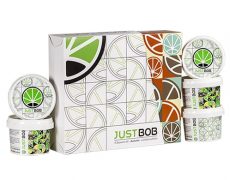 Premium Autumn Kit de cannabis CBD de las mejores cualidades