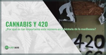 importancia-del-número-420-con-la-marihuana La importancia del número 420 con la marihuana