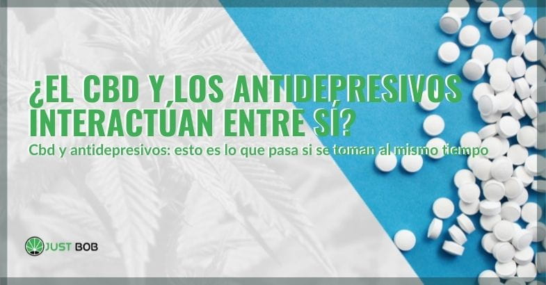 La interacción del CBD y los antidepresivos