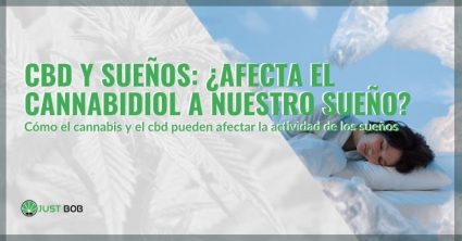 La influencia del CBD en los sueños