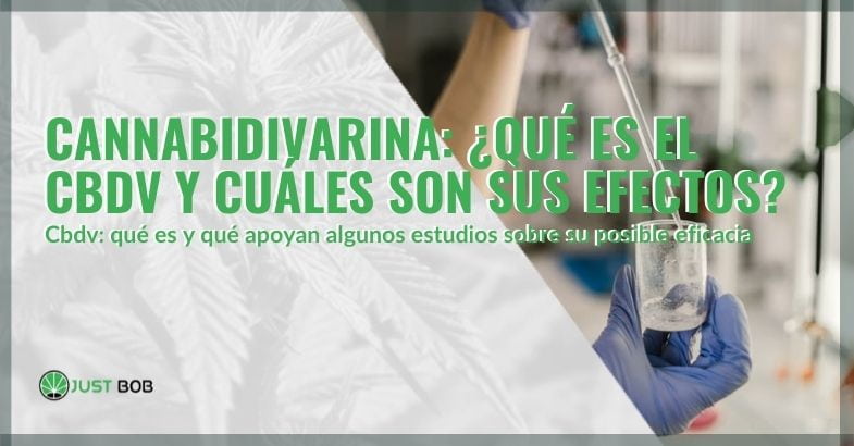 Qué es el CBDV y sus efectos