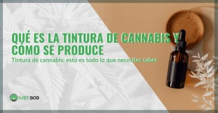 ¿Qué es la tintura de cannabis?