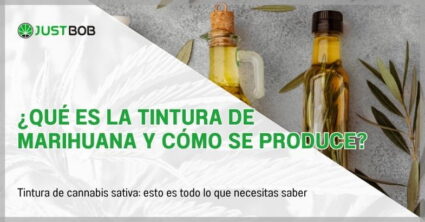 ¿Qué es la tintura de marihuana y cómo se produce?
