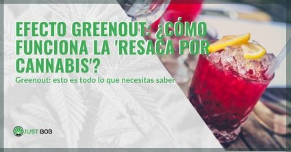 Todo sobre el efecto Greenout