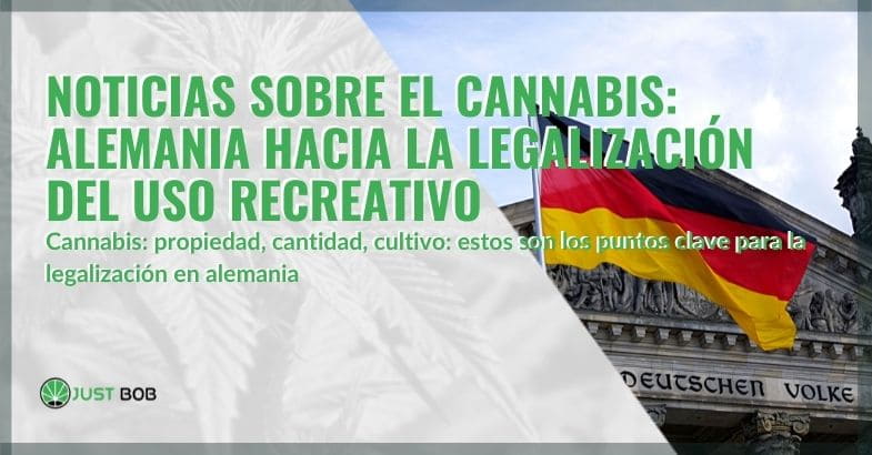 Alemania hacia la legalización del cannabis