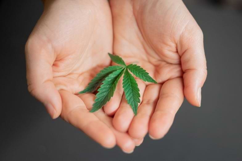 Cannabis para uso personal en Alemania