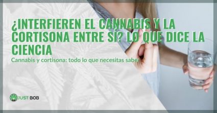 La interacción entre el cannabis y la cortisona