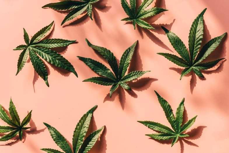Legalización del cannabis en Alemania
