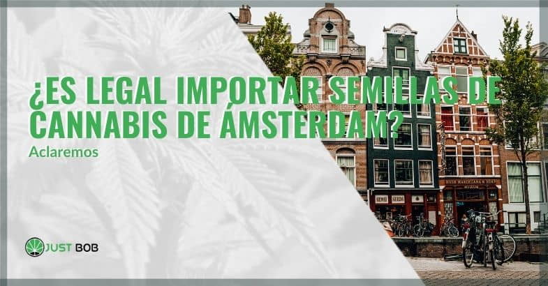 ¿Es legal importar semillas de cannabis de Ámsterdam?