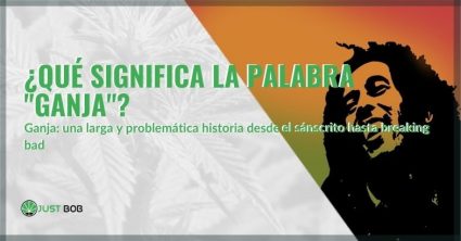 Significado de la palabra ganja