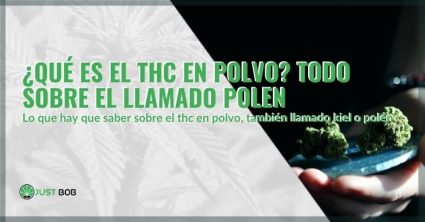 Todo sobre el THC en polvo