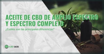 CBD-aceite-amplio-espectro-espectro-completo-diferencias Aceite de CBD de amplio espectro/espectro completo: diferencias | Justbob