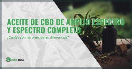 Aceite de CBD de amplio espectro/espectro completo: diferencias | Justbob