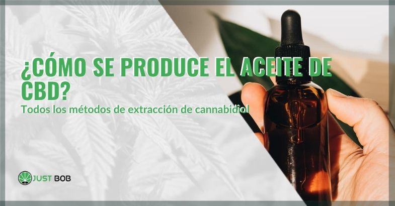 Aceite de CBD cómo producir | Justbob