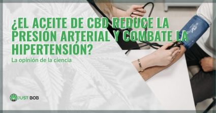 El aceite de CBD contrarresta la hipertensión | Justbob