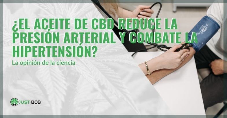 El aceite de CBD contrarresta la hipertensión | Justbob