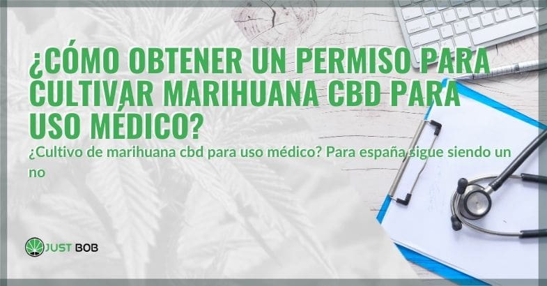 Cómo obtener un permiso para cultivar cannabis medicinal | Justbob