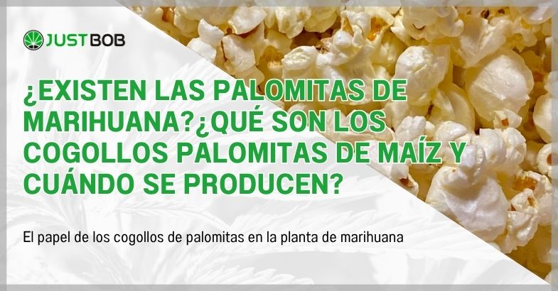 ¿Existen las palomitas de marihuana?