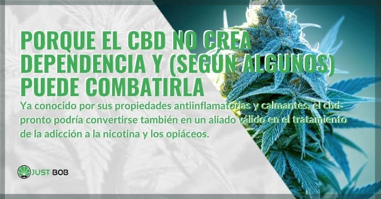 Por qué el CBD no es adictivo | Justbob