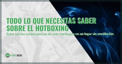 Todo sobre hotboxing | Justbob