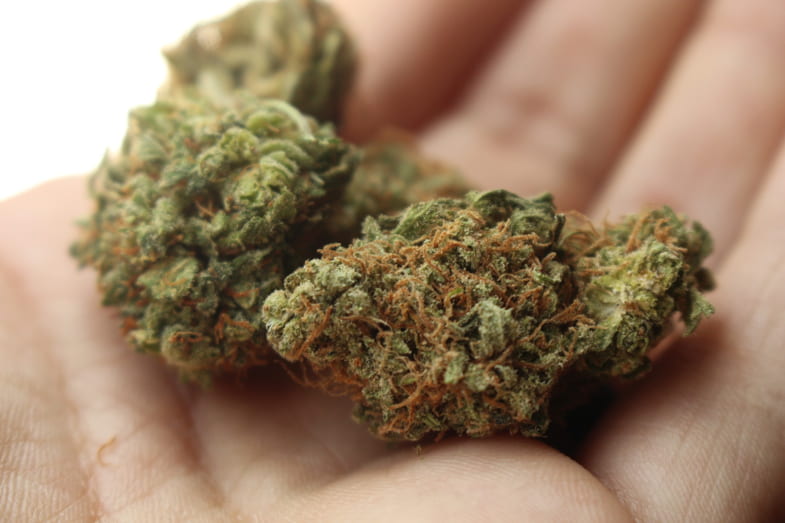 La ley maltesa sobre el consumo de cannabis | Justbob
