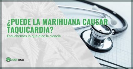 ¿Puede el cannabis causar taquicardia? | Justbob