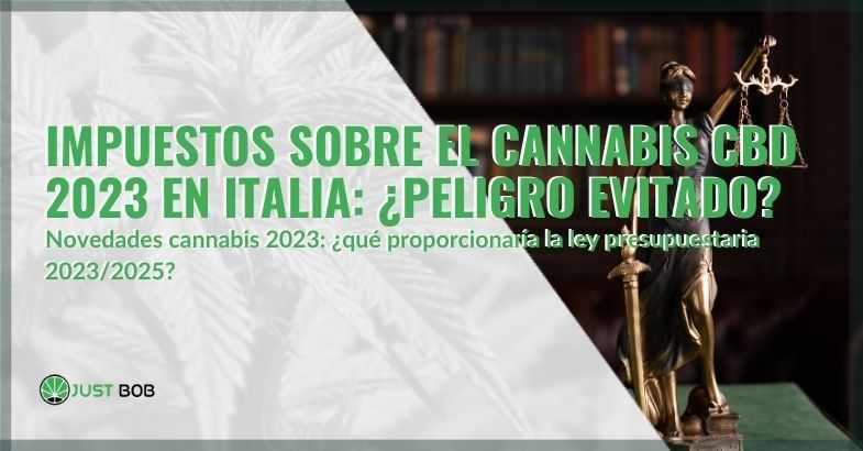 Fiscalidad del cannabis light 2023 | Justbob