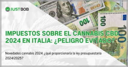 Impuestos sobre el cannabis CBD 2024 en Italia