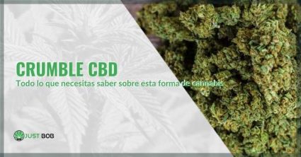 Todo sobre el crumble de CBD | Justbob