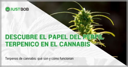 Descubre el papel del perfil terpenico en el cannabis