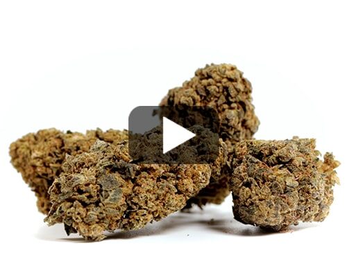 marihuana-sin-thc-Orange-cbd-boost