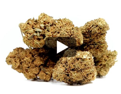 marihuana-sin-thc-master-kush