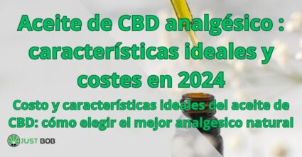 Aceite de CBD analgésico : características