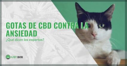 cbd-gato-gotas cbd para gatos | Justbob