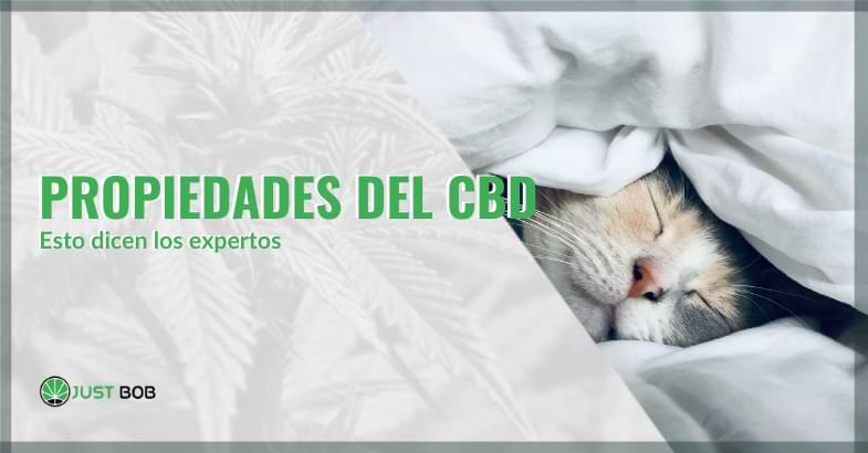 propiedades del CBD | Justbob
