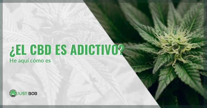 el cbd es adictivo | Justbob