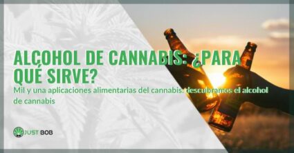 alcohol de cannabis para que sirve | Justbob