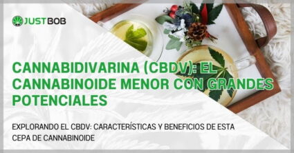 Cannabidivarina (CBDV): el cannabinoide menor