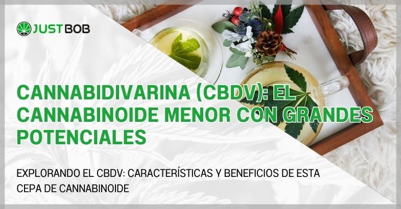 Cannabidivarina (CBDV): el cannabinoide menor