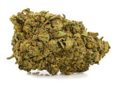 cogollo de skunk ha cbd