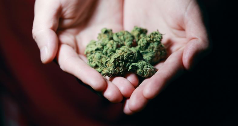 Legalización del cannabis en Canadá