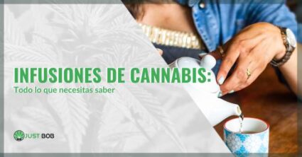 infusiones de cannabis | Justbob