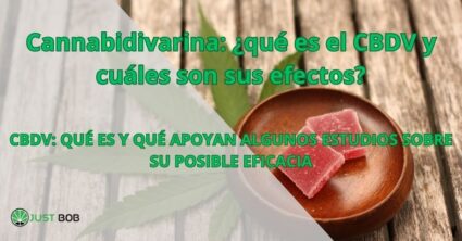 Cannabidivarina: ¿qué es el CBDV y cuáles son sus efectos?