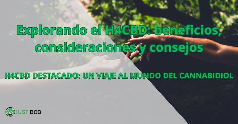 Explorando el H4CBD: beneficios, consideraciones y consejos