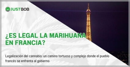 ¿Es legal la Marihuana en Francia?