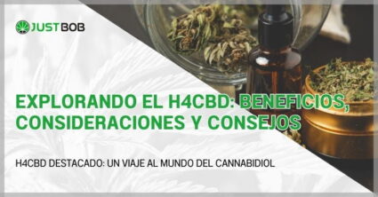 Explorando el H4CBD: beneficios, consideraciones y consejos