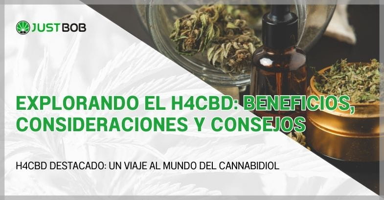Explorando el H4CBD: beneficios, consideraciones y consejos